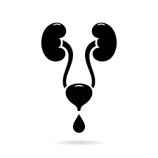 نصب سوند فولی در منزل